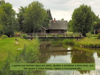 Lugares que tenham água por perto, ajudam a amolecer a terra seca, que
são iguais a nossa dureza, rigidez e incompreensão.
 