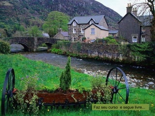 Faz seu curso e segue livre...
 