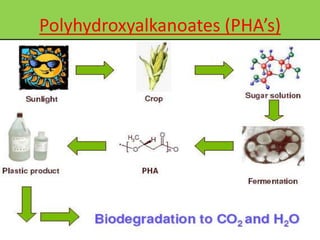 Polyhydroxyalkanoates (PHA’s)
 