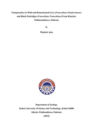 Ectoparasites in Wild and Domesticated Grey (Francolinus Pondicerianus)
and Black Partridges (Francolinus Francolinus) From Khayber
Pakhtoonkhawa, Pakistan
By
Mudasir abas
Department of Zoology
Kohat University of Science and Technology, Kohat-26000
Khyber Pakhtunkhwa, Pakistan
(2019)
 