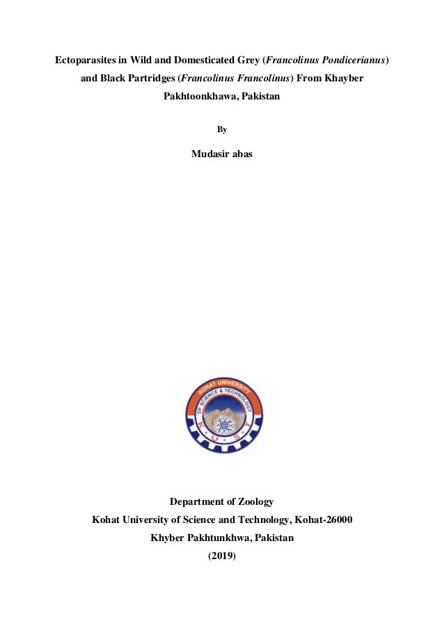 popular research proposal writers sites usa