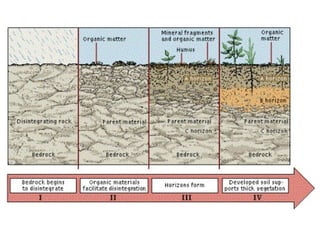 MUD CONSTRUCTION AND THEIR TECHNOLOGIES AND TECHNIQUE | PPTX