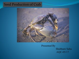 Seed Production of Crab
Presented By
Shubham Sahu
AQC-05/17
 