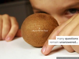 ...why are kiwi fruit fuzzy?



                                    many questions
                               remain unanswered...




                                    http://www.ﬂickr.com/photos/wwworks/2427001802
 