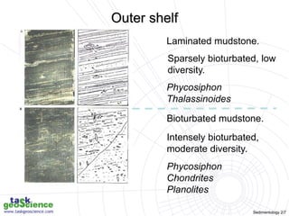 Sedimentology 2/7
Bioturbated mudstone.
Laminated mudstone.
Sparsely bioturbated, low
diversity.
Phycosiphon
Thalassinoides
Intensely bioturbated,
moderate diversity.
Phycosiphon
Chondrites
Planolites
Outer shelf
 