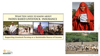 Democratizing data and transforming service provision in the pastoralist drylands; THE mFACTOR