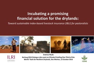 Incubating a promising
financial solution for the drylands:
Toward sustainable index-based livestock insurance (IBLI) for pastoralists
Andrew Mude
Borlaug 2016 Dialogue side event on Climate Proofing One Third of the
World: Tools for Resilient Drylands, Des Moines, 12 October 2016
 
