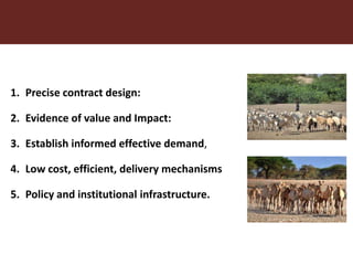 Incubating a promising financial solution for the drylands: Toward sustainable index-based livestock insurance (IBLI) for pastoralists