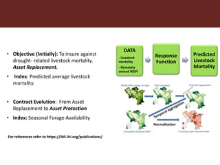 Incubating a promising financial solution for the drylands: Toward sustainable index-based livestock insurance (IBLI) for pastoralists