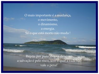 O mais importante é a mudança, o movimento, o dinamismo, a energia. Só o que está morto não muda ! Repito por pura alegria de viver: a salvação é pelo risco, sem o qual a vida não vale a pena!  