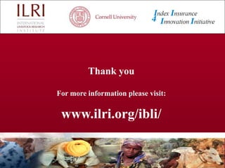 Design and development of IBLI for southern Ethiopia