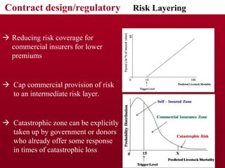 Design and development of IBLI for southern Ethiopia
