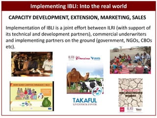 Sustainable livestock insurance for pastoralists: From research to practice and impact