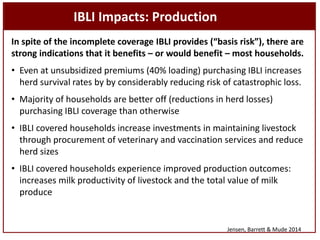 Sustainable livestock insurance for pastoralists: From research to practice and impact