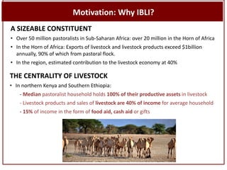 Sustainable livestock insurance for pastoralists: From research to practice and impact
