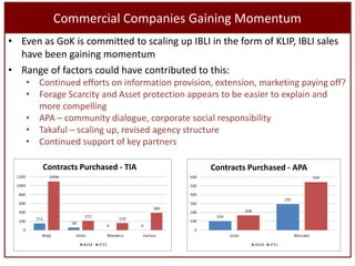 Sustainable livestock insurance for pastoralists: From research to practice and impact