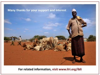 Sustainable livestock insurance for pastoralists: From research to practice and impact