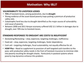 Sustainable livestock insurance for pastoralists: From research to practice and impact