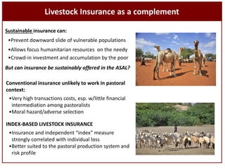Sustainable livestock insurance for pastoralists: From research to practice and impact