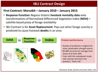 Sustainable livestock insurance for pastoralists: From research to practice and impact