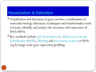 Comprehensive Methods and Tools for Studying Genes and Genetic Analysis ...