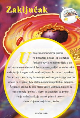 UU
ovoj smo knjizi kroz primje-
re pokazali koliko se složenih
funkcija odvija u našem tijelu a da
mi toga nismo ni svjesni. Istovremeno, vidjeli smo da svaka
naša æelija i organ rade neshvatljivom brzinom i savršeno.
Sve se radi u savršenoj harmoniji i svaki organ svoj posao za-
vršava na vrijeme. Krv stalno nosi hranu potrebnu æelijama.
Želudac i crijeva tu istu hranu vare i usitnjuju kako bi je
æelije mogle ''pojesti''. Nervi su zaduženi za preno-
šenje nadražaja koje mozak prima i tako vi-
dimo, èujemo, osjeæamo, kuša-
ZakljuèakZakljuèak
MUDŽIZE TIJELA
110000
 
