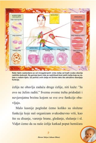 æelija ne obavlja zadaæu druge æelije, niti kaže: ''Ja
ovo ne želim raditi.'' Svemu ovome treba pridodati i
nevjerojatnu brzinu kojom se sve ove funkcije oba-
vljaju.
Malo kasnije pogledat æemo koliko su složene
funkcije koje naš organizam svakodnevno vrši, kao
što su disanje, varenje hrane, gledanje, slušanje i sl.
Vidjet æemo da su naše æelije katkad poput hemièara
99
Harun Yahya (Adnan Oktar)
Naše tijelo sastavljeno je od mnogobrojnih vrsta æelija od kojih svaka obavlja
razlièite dužnosti. Na gornjoj šemi vide se razlièitosti kod nekih æelija koje se na-
laze u našem tijelu. Uz pomoæ ovih æelija mi živimo tako što združeno obavljaju
funkcije.
struktura æelije
vezivnog tkiva
nervno tkivo
mišiæno tkivo
epitelno tkivo
æelija vezivnog tkiva
æelija hrskavice
æelija srèanog mišiæa
æelija skeletnog mišiæa
æelija (pravilnog)
mišiæa
koštana æelija æelija želuca
jedna vrsta æelije
bubrega
druga vrsta æelije
bubrega
 