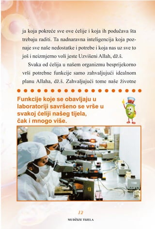 ja koja pokreæe sve ove æelije i koja ih poduèava šta
trebaju raditi. Ta nadnaravna inteligencija koja poz-
naje sve naše nedostatke i potrebe i koja nas uz sve to
još i neizmjerno voli jeste Uzvišeni Allah, dž.š.
Svaka od æelija u našem organizmu besprijekorno
vrši potrebne funkcije samo zahvaljujuæi idealnom
planu Allaha, dž.š. Zahvaljujuæi tome naše životne
Funkcije koje se obavljaju u
laboratoriji savršeno se vrše u
svakoj æeliji našeg tijela,
èak i mnogo više.
1122
MUDŽIZE TIJELA
 