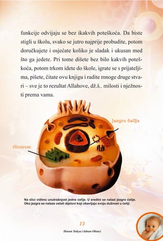 1133
funkcije odvijaju se bez ikakvih poteškoæa. Da biste
stigli u školu, svako se jutro najprije probudite, potom
doruèkujete i osjeæate koliko je sladak i ukusan med
što ga jedete. Pri tome dišete bez bilo kakvih poteš-
koæa, potom trkom idete do škole, igrate se s prijatelji-
ma, pišete, èitate ovu knjigu i radite mnoge druge stva-
ri – sve je to rezultat Allahove, dž.š.. milosti i nježnos-
ti prema vama.
jjeezzggrroo ææeelliijjee
rriibboozzoomm
Na slici vidimo unutrašnjost jedne æelije. U sredini se nalazi jezgro æelije.
Oko jezgra se nalaze ostali dijelovi koji obavljaju svoju dužnost u æeliji.
Harun Yahya (Adnan Oktar)
 