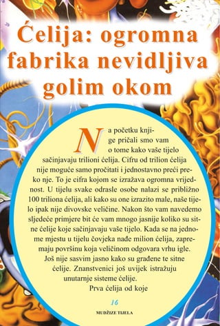 1166
NN
a poèetku knji-
ge prièali smo vam
o tome kako vaše tijelo
saèinjavaju trilioni æelija. Cifru od trilion æelija
nije moguæe samo proèitati i jednostavno preæi pre-
ko nje. To je cifra kojom se izražava ogromna vrijed-
nost. U tijelu svake odrasle osobe nalazi se približno
100 triliona æelija, ali kako su one izrazito male, naše tije-
lo ipak nije divovske velièine. Nakon što vam navedemo
sljedeæe primjere bit æe vam mnogo jasnije koliko su sit-
ne æelije koje saèinjavaju vaše tijelo. Kada se na jedno-
me mjestu u tijelu èovjeka naðe milion æelija, zapre-
maju površinu koja velièinom odgovara vrhu igle.
Još nije sasvim jasno kako su graðene te sitne
æelije. Znanstvenici još uvijek istražuju
unutarnje sisteme æelije.
Prva æelija od koje
Æelija: ogrÆelija: ogromnaomna
fabrika nevidljivafabrika nevidljiva
golim okomgolim okom
MUDŽIZE TIJELA
 