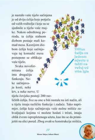 je nastalo vaše tijelo saèinjena
je od dviju æelija koje potjeèu
od vaših roditelja i koje su se
sjedinile u tijelu vaše maj-
ke. Nakon odreðenog pe-
rioda, ta æelija stalnom
diobom postaje mali ko-
mad mesa. Kasnijom dio-
bom æelija koje saèinja-
vaju taj komadiæ mesa
postepeno se oblikuje
vaše tijelo.
Svaka novofor-
mirana æelija
ima drugaèiju
funkcuju. Ne-
ke saèinjava-
ju kosti, neke
krv, a neke nerve. U
tijelu èovjeka postoji 200 raz-
lièitih æelija. Sve su one u biti nastale na isti naèin, ali
u tijelu imaju razlièite funkcije i zadaæe. Tako napri-
mjer, æelije koje saèinjavaju vaše nožne mišiæe za-
hvaljujuæi kojima vi možete hodati i trèati, imaju
oblik èvrsto isprepletenoga užeta, kao što se da primi-
jetiti na slici pored. Zbog ovakve konstrukcije mišiæa,
1177
TTrriilliioonn
ææeelliijjaa nnaa
jjeeddnnoomm
mmjjeessttuu uu
ttaaèèkkii nnee
vveeææoojj oodd
vvrrhhaa iiggllee
.
Harun Yahya (Adnan Oktar)
 