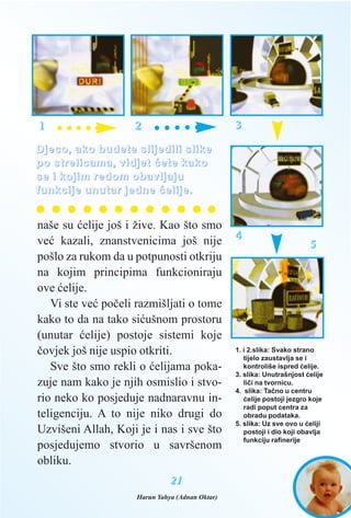 naše su æelije još i žive. Kao što smo
veæ kazali, znanstvenicima još nije
pošlo za rukom da u potpunosti otkriju
na kojim principima funkcioniraju
ove æelije.
Vi ste veæ poèeli razmišljati o tome
kako to da na tako siæušnom prostoru
(unutar æelije) postoje sistemi koje
èovjek još nije uspio otkriti.
Sve što smo rekli o æelijama poka-
zuje nam kako je njih osmislio i stvo-
rio neko ko posjeduje nadnaravnu in-
teligenciju. A to nije niko drugi do
Uzvišeni Allah, Koji je i nas i sve što
posjedujemo stvorio u savršenom
obliku.
2211
DDjjeeccoo,, aakkoo bbuuddeettee sslliijjeeddiilliii sslliikkee
ppoo ssttrreelliiccaammaa,, vviiddjjeett ææeettee kkaakkoo
ssee ii kkoojjiimm rreeddoomm oobbaavvlljjaajjuu
ffuunnkkcciijjee uunnuuttaarr jjeeddnnee ææeelliijjee..
1. i 2.slika: Svako strano
tijelo zaustavlja se i
kontroliše ispred æelije.
3. slika: Unutrašnjost æelije
lièi na tvornicu.
4. slika: Taèno u centru
æelije postoji jezgro koje
radi poput centra za
obradu podataka.
5. slika: Uz sve ovo u æeliji
postoji i dio koji obavlja
funkciju rafinerije
11 22 33
44
55
Harun Yahya (Adnan Oktar)
 