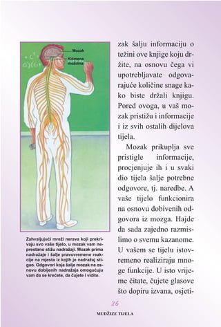 zak šalju informaciju o
težini ove knjige koju dr-
žite, na osnovu èega vi
upotrebljavate odgova-
rajuæe kolièine snage ka-
ko biste držali knjigu.
Pored ovoga, u vaš mo-
zak pristižu i informacije
i iz svih ostalih dijelova
tijela.
Mozak prikuplja sve
pristigle informacije,
procjenjuje ih i u svaki
dio tijela šalje potrebne
odgovore, tj. naredbe. A
vaše tijelo funkcionira
na osnovu dobivenih od-
govora iz mozga. Hajde
da sada zajedno razmis-
limo o svemu kazanome.
U vašem se tijelu istov-
remeno realiziraju mno-
ge funkcije. U isto vrije-
me èitate, èujete glasove
što dopiru izvana, osjeti-
2266
Zahvaljujuæi mreži nerava koji prekri-
vaju svo vaše tijelo, u mozak vam ne-
prestano stižu nadražaji. Mozak prima
nadražaje i šalje pravovremene reak-
cije na mjesta iz kojih je nadražaj sti-
gao. Odgovori koje šalje mozak na os-
novu dobijenih nadražaja omoguæuju
vam da se kreæete, da èujete i vidite.
Mozak
Kièmena
moždina
MUDŽIZE TIJELA
 