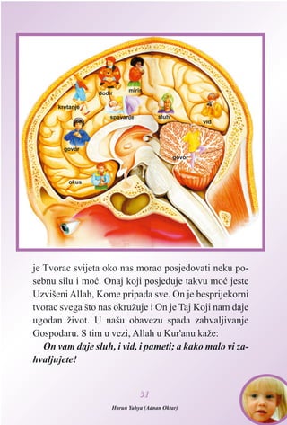 je Tvorac svijeta oko nas morao posjedovati neku po-
sebnu silu i moæ. Onaj koji posjeduje takvu moæ jeste
Uzvišeni Allah, Kome pripada sve. On je besprijekorni
tvorac svega što nas okružuje i On je Taj Koji nam daje
ugodan život. U našu obavezu spada zahvaljivanje
Gospodaru. S tim u vezi, Allah u Kur'anu kaže:
On vam daje sluh, i vid, i pameti; a kako malo vi za-
hvaljujete!
3311
kretanje
govor
okus
dodir
miris
spavanje sluh
govor
vid
Harun Yahya (Adnan Oktar)
 