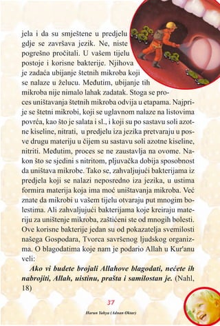 3377
Harun Yahya (Adnan Oktar)
jela i da su smještene u predjelu
gdje se završava jezik. Ne, niste
pogrešno proèitali. U vašem tijelu
postoje i korisne bakterije. Njihova
je zadaæa ubijanje štetnih mikroba koji
se nalaze u želucu. Meðutim, ubijanje tih
mikroba nije nimalo lahak zadatak. Stoga se pro-
ces uništavanja štetnih mikroba odvija u etapama. Najpri-
je se štetni mikrobi, koji se uglavnom nalaze na listovima
povræa, kao što je salata i sl., i koji su po sastavu soli azot-
ne kiseline, nitrati, u predjelu iza jezika pretvaraju u pos-
ve drugu materiju u èijem su sastavu soli azotne kiseline,
nitriti. Meðutim, proces se ne zaustavlja na ovome. Na-
kon što se sjedini s nitritom, pljuvaèka dobija sposobnost
da uništava mikrobe. Tako se, zahvaljujuæi bakterijama iz
predjela koji se nalazi neposredno iza jezika, u ustima
formira materija koja ima moæ uništavanja mikroba. Veæ
znate da mikrobi u vašem tijelu otvaraju put mnogim bo-
lestima. Ali zahvaljujuæi bakterijama koje kreiraju mate-
riju za uništenje mikroba, zaštiæeni ste od mnogih bolesti.
Ove korisne bakterije jedan su od pokazatelja svemilosti
našega Gospodara, Tvorca savršenog ljudskog organiz-
ma. O blagodatima koje nam je podario Allah u Kur'anu
veli:
Ako vi budete brojali Allahove blagodati, neæete ih
nabrojiti, Allah, uistinu, prašta i samilostan je. (Nahl,
18)
 