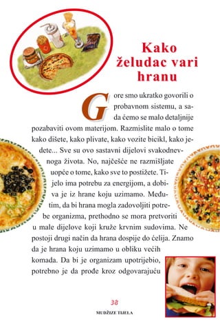 3388
GG
ore smo ukratko govorili o
probavnom sistemu, a sa-
da æemo se malo detaljnije
pozabaviti ovom materijom. Razmislite malo o tome
kako dišete, kako plivate, kako vozite bicikl, kako je-
dete... Sve su ovo sastavni dijelovi svakodnev-
noga života. No, najèešæe ne razmišljate
uopæe o tome, kako sve to postižete. Ti-
jelo ima potrebu za energijom, a dobi-
va je iz hrane koju uzimamo. Meðu-
tim, da bi hrana mogla zadovoljiti potre-
be organizma, prethodno se mora pretvoriti
u male dijelove koji kruže krvnim sudovima. Ne
postoji drugi naèin da hrana dospije do æelija. Znamo
da je hrana koju uzimamo u obliku veæih
komada. Da bi je organizam upotrijebio,
potrebno je da proðe kroz odgovarajuæu
KakoKako
želudac variželudac vari
hranuhranu
MUDŽIZE TIJELA
 