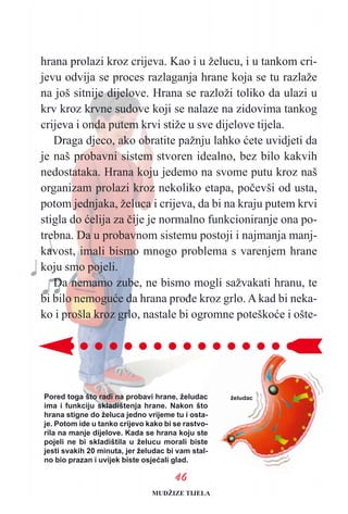 hrana prolazi kroz crijeva. Kao i u želucu, i u tankom cri-
jevu odvija se proces razlaganja hrane koja se tu razlaže
na još sitnije dijelove. Hrana se razloži toliko da ulazi u
krv kroz krvne sudove koji se nalaze na zidovima tankog
crijeva i onda putem krvi stiže u sve dijelove tijela.
Draga djeco, ako obratite pažnju lahko æete uvidjeti da
je naš probavni sistem stvoren idealno, bez bilo kakvih
nedostataka. Hrana koju jedemo na svome putu kroz naš
organizam prolazi kroz nekoliko etapa, poèevši od usta,
potom jednjaka, želuca i crijeva, da bi na kraju putem krvi
stigla do æelija za èije je normalno funkcioniranje ona po-
trebna. Da u probavnom sistemu postoji i najmanja manj-
kavost, imali bismo mnogo problema s varenjem hrane
koju smo pojeli.
Da nemamo zube, ne bismo mogli sažvakati hranu, te
bi bilo nemoguæe da hrana proðe kroz grlo. A kad bi neka-
ko i prošla kroz grlo, nastale bi ogromne poteškoæe i ošte-
4466
Pored toga što radi na probavi hrane, želudac
ima i funkciju skladištenja hrane. Nakon što
hrana stigne do želuca jedno vrijeme tu i osta-
je. Potom ide u tanko crijevo kako bi se rastvo-
rila na manje dijelove. Kada se hrana koju ste
pojeli ne bi skladištila u želucu morali biste
jesti svakih 20 minuta, jer želudac bi vam stal-
no bio prazan i uvijek biste osjeæali glad.
želudac
MUDŽIZE TIJELA
 