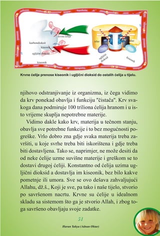 njihovo odstranjivanje iz organizma, iz èega vidimo
da krv ponekad obavlja i funkciju ''èistaèa''. Krv sva-
koga dana podmiruje 100 triliona æelija hranom i u is-
to vrijeme skuplja nepotrebne materije.
Vidimo dakle kako krv, materija u teènom stanju,
obavlja sve potrebne funkcije i to bez moguænosti po-
greške. Vrlo dobro zna gdje svaka materija treba za-
vršiti, u koje svrhe treba biti iskorištena i gdje treba
biti dostavljena. Tako se, naprimjer, ne može desiti da
od neke æelije uzme suvišne materije i greškom se to
dostavi drugoj æeliji. Konstantno od æelija uzima ug-
ljièni dioksid a dostavlja im kiseonik, bez bilo kakve
pometnje ili umora. Sve se ovo dešava zahvaljujuæi
Allahu, dž.š., Koji je sve, pa tako i naše tijelo, stvorio
po savršenom nacrtu. Krvne su æelije u idealnom
skladu sa sistemom što ga je stvorio Allah, i zbog to-
ga savršeno obavljaju svoje zadatke.
5511
karbondioksit
krvna æelija
ugljièni dioksid
kiseonik
ulazizlaz
kiseonik
kiseonik
ugljièni
dioksid
Krvne æelije prenose kiseonik i ugljièni dioksid do ostalih æelija u tijelu.
Harun Yahya (Adnan Oktar)
 
