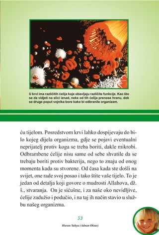 æu tijelom. Posredstvom krvi lahko dospijevaju do bi-
lo kojeg dijela organizma, gdje se pojavi eventualni
neprijatelj protiv koga se treba boriti, dakle mikrobi.
Odbrambene æelije nisu same od sebe shvatile da se
trebaju boriti protiv bakterija, nego to znaju od onog
momenta kada su stvorene. Od èasa kada ste došli na
svijet, one rade svoj posao i tako štite vaše tijelo. To je
jedan od detalja koji govore o mudrosti Allahova, dž.
š., stvaranja. On je siæušne, i za naše oko nevidljive,
æelije zadužio i poduèio, i na taj ih naèin stavio u služ-
bu našeg organizma.
5533
U krvi ima razlièitih æelija koje obavljaju razlièite funkcije. Kao što
se da vidjeti na slici iznad, neke od tih æelija prenose hranu, dok
se druge poput vojnika bore kako bi odbranile organizam.
Harun Yahya (Adnan Oktar)
 