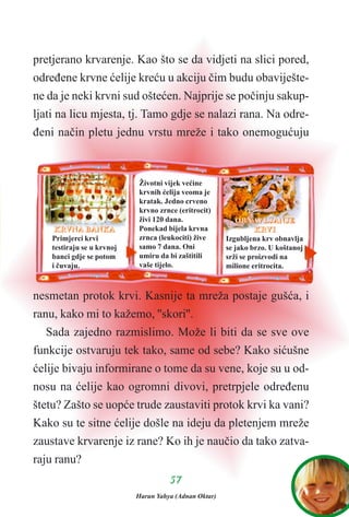 pretjerano krvarenje. Kao što se da vidjeti na slici pored,
odreðene krvne æelije kreæu u akciju èim budu obaviješte-
ne da je neki krvni sud ošteæen. Najprije se poèinju sakup-
ljati na licu mjesta, tj. Tamo gdje se nalazi rana. Na odre-
ðeni naèin pletu jednu vrstu mreže i tako onemoguæuju
nesmetan protok krvi. Kasnije ta mreža postaje gušæa, i
ranu, kako mi to kažemo, ''skori''.
Sada zajedno razmislimo. Može li biti da se sve ove
funkcije ostvaruju tek tako, same od sebe? Kako siæušne
æelije bivaju informirane o tome da su vene, koje su u od-
nosu na æelije kao ogromni divovi, pretrpjele odreðenu
štetu? Zašto se uopæe trude zaustaviti protok krvi ka vani?
Kako su te sitne æelije došle na ideju da pletenjem mreže
zaustave krvarenje iz rane? Ko ih je nauèio da tako zatva-
raju ranu?
5577
KKRRVVNNAA BBAANNKKAA
Primjerci krvi
testiraju se u krvnoj
banci gdje se potom
i èuvaju.
OOBBNNAAVVLLJJAANNJJEE
KKRRVVII
Izgubljena krv obnavlja
se jako brzo. U koštanoj
srži se proizvodi na
milione eritrocita.
Životni vijek veæine
krvnih æelija veoma je
kratak. Jedno crveno
krvno zrnce (eritrocit)
živi 120 dana.
Ponekad bijela krvna
zrnca (leukociti) žive
samo 7 dana. Oni
umiru da bi zaštitili
vaše tijelo.
Harun Yahya (Adnan Oktar)
 