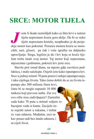 JJ
este li ikada razmišljali kako se litre krvi u našem
tijelu neprestano kreæu gore-dolje. Da bi se neko
tijelo neprestano kretalo, neophodno je da posje-
duje motor kao pokretaè. Pomoæu motora kreæu se moto-
cikli, auti, gliseri, pa èak i vaše igraèke na daljinsko
upravljanje. Stoga, logièno je da i krv koja se kreæe tije-
lom treba imati svoj motor. Taj motor koji neprestano,
mjesecima i godinama, pokreæe krv jeste srce.
Stavite prst iznad dlana, na mjesto gdje završava pod-
laktica, i malo saèekajte. Osjetit æete kako ispumpava krv.
Srce u jednoj minuti 70 puta ponovi radnju ispumpavanja,
i tako cijeloga života. Tako æemo dobiti da se za života is-
pumpa oko 300 miliona litara krvi,
èime bi se moglo napuniti 10 000
tankera koji prevoze naftu. Zar sve
ove cifre nisu zadivljujuæe? Zamislite
sada kako 70 puta u minuti soljom iz-
bacujete vodu iz kante. Zacijelo æe-
te osjetiti umor u rukama, i trebat
æe vam odmora. Meðutim, srce ta-
kav posao radi bez imalo odmora, i
to cijeli život.
6600
SRCE: MOTOR TIJELA
MUDŽIZE TIJELA
 
