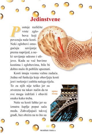 PP
ostoje razlièite
vrste zglo-
bova koji
povezuju naše kosti.
Neki zglobovi omo-
guæuju savijanje
prema naprijed, a ne-
ki savijanje udesno i uli-
jevo. Kada se veæ bavimo
kostima i zglobovima, bilo bi
dobro malo ih pobliže upoznati.
Kosti imaju veoma važnu zadaæu.
Jedna od funkcija koje obavljaju kosti
jest i nošenje i zaštita našega tijela.
To za njih nije teško jer su
stvorene na takav naèin da to
sve mogu izdržati i obaviti
onako kako treba.
Naše su kosti lahke jer su
iznutra šuplje poput saèa
meda. Zahvaljujuæi takvoj
graði, bez obzira na to što su
Ajfelov
toranj
6688
Jedinstvene
MUDŽIZE TIJELA
 
