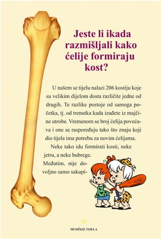 Jeste li ikada
razmišljali kako
æelije formiraju
kost?
U našem se tijelu nalazi 206 kostiju koje
su velikim dijelom dosta razlièite jedne od
drugih. Te razlike postoje od samoga po-
èetka, tj. od trenutka kada izaðete iz majèi-
ne utrobe. Vremenom se broj æelija poveæa-
va i one se rasporeðuju tako što znaju koji
dio tijela ima potrebu za novim æelijama.
Neke tako idu formirati kosti, neke
jetru, a neke bubrege.
Meðutim, nije do-
voljno samo sakupi-
7788
MUDŽIZE TIJELA
 