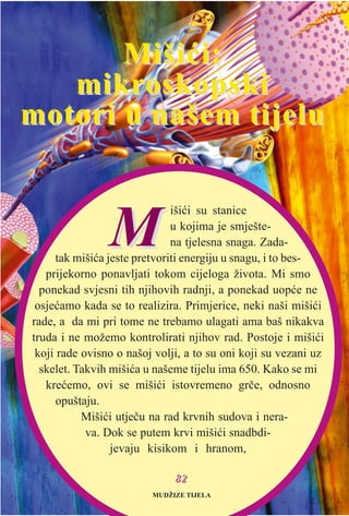 8822
MM
išiæi su stanice
u kojima je smješte-
na tjelesna snaga. Zada-
tak mišiæa jeste pretvoriti energiju u snagu, i to bes-
prijekorno ponavljati tokom cijeloga života. Mi smo
ponekad svjesni tih njihovih radnji, a ponekad uopæe ne
osjeæamo kada se to realizira. Primjerice, neki naši mišiæi
rade, a da mi pri tome ne trebamo ulagati ama baš nikakva
truda i ne možemo kontrolirati njihov rad. Postoje i mišiæi
koji rade ovisno o našoj volji, a to su oni koji su vezani uz
skelet. Takvih mišiæa u našeme tijelu ima 650. Kako se mi
kreæemo, ovi se mišiæi istovremeno grèe, odnosno
opuštaju.
Mišiæi utjeèu na rad krvnih sudova i nera-
va. Dok se putem krvi mišiæi snadbdi-
jevaju kisikom i hranom,
Mišiæi:Mišiæi:
mikrmikroskopskioskopski
motori u našem tijelumotori u našem tijelu
MUDŽIZE TIJELA
 