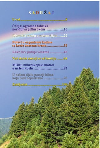 Uvod....................................................8
Æelija: ogromna fabrika
nevidljiva golim okom .....................16
Divovska mreža u našem tijelu.......22
Putevi u organizmu kojima
se kreæe unesena hrana....................32
Kako krv putuje venama ................45
Naš skelet sastoji se od kostiju........64
Mišiæi: mikroskopski motori
u našem tijelu ...................................82
U našem tijelu postoji klima
koja radi neprestano .......................90
Zakljuèak .......................................100
Uvod....................................................8
Æelija: ogromna fabrika
nevidljiva golim okom .....................16
Divovska mreža u našem tijelu.......22
Putevi u organizmu kojima
se kreæe unesena hrana....................32
Kako krv putuje venama ................45
Naš skelet sastoji se od kostiju........64
Mišiæi: mikroskopski motori
u našem tijelu ...................................82
U našem tijelu postoji klima
koja radi neprestano .......................90
Zakljuèak .......................................100
Uvod....................................................8
Æelija: ogromna fabrika
nevidljiva golim okom .....................16
Divovska mreža u našem tijelu.......22
Putevi u organizmu kojima
se kreæe unesena hrana....................32
Kako krv putuje venama ................45
Naš skelet sastoji se od kostiju........64
Mišiæi: mikroskopski motori
u našem tijelu ...................................82
U našem tijelu postoji klima
koja radi neprestano .......................90
Zakljuèak .......................................100
S A D R Ž A J
 