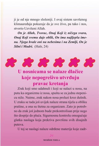 ji je od nje mnogo složeniji. I ovaj sistem savršenog
klimaureðaja pokazuje da je sve živo, pa tako i nos,
stvorio Uzvišeni Allah.
On je Allah, Tvorac, Onaj Koji iz nièega svara,
Onaj Koji svemu daje oblik, On ima najljepša ime-
na. Njega hvale oni na nebesima i na Zemlji, On je
Silni i Mudri. (Hašr, 24)
U nosnicama se nalaze dlaèice
koje nepogrešivo utvrðuju
pravac kretanja
Zrak koji smo udahnuli i koji se nalazi u nosu, na
putu ka organizmu iz nosa, spušta se za jednu stepeni-
cu niže. Naime, zrak nakon nosa prolazi kroz dušnik.
U zraku se tada još uvijek nalaze strana tijela u obliku
prašine, a ona su štetna za organizam. Zato je potreb-
no da zrak još jednom bude prekontrolisan prije nego
što dospije do pluæa. Sigurnosnu kontrolu omoguæuje
glatka naslaga koja prekriva površinu svih disajnih
puteva.
U toj se naslagi nalaze odrðene materije koje zadr-
9944
MUDŽIZE TIJELA
 