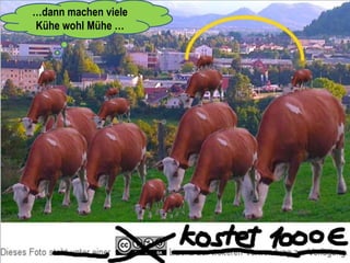 …dann machen viele
Kühe wohl Mühe …
 