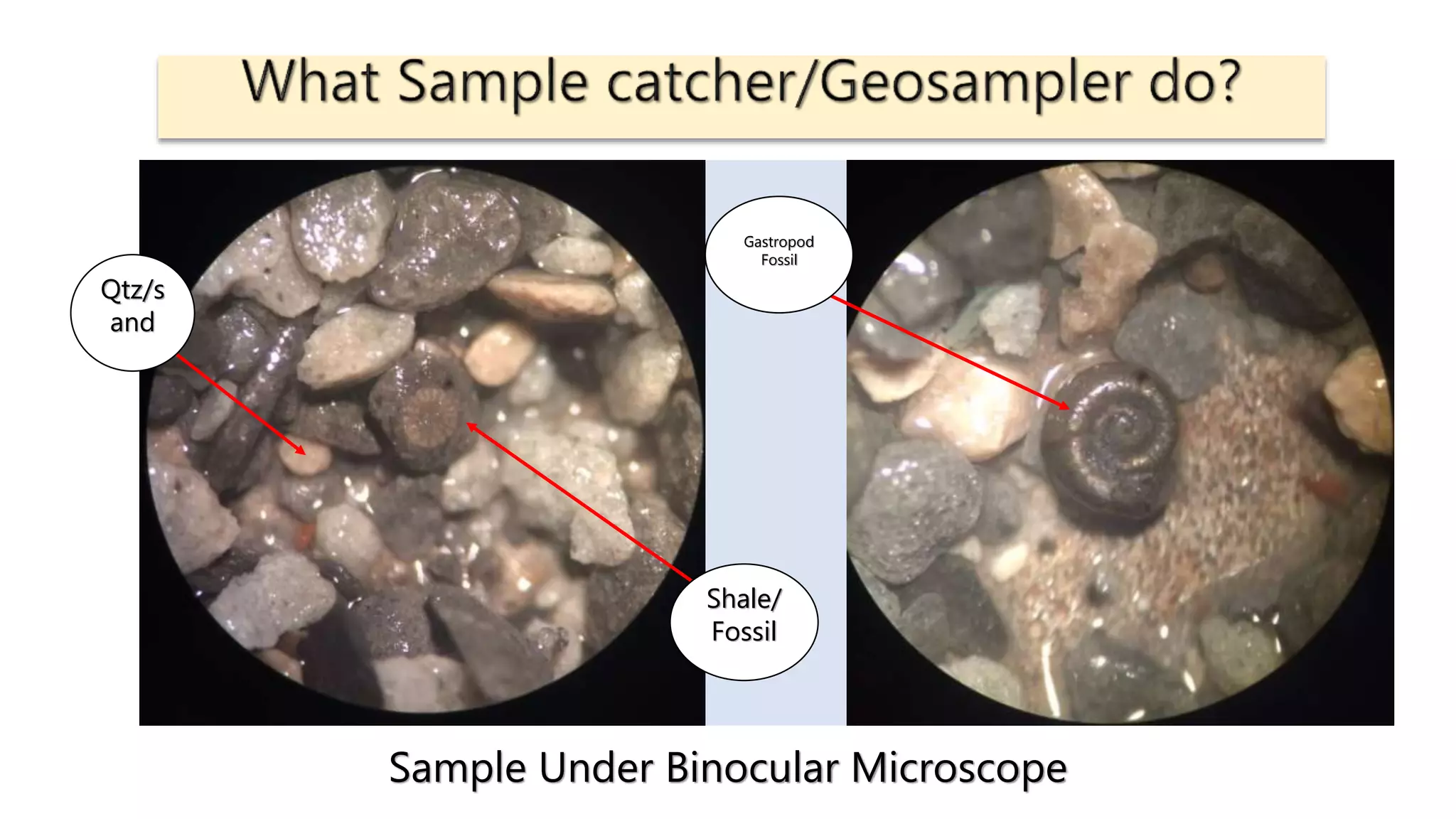 Sample Under Binocular Microscope
Gastropod
Fossil
Shale/
Fossil
Qtz/s
and
 