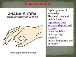 Jnana mudra
Psychic gesture of
knowledge
The small ,ring,and
middle finger
represent three
gunas and quality of
nature-
tamas –stability,
rajas –quality,
creativity,
sattwa- luminosity and
hormony.
 