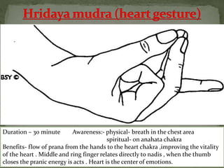 Duration – 30 minute Awareness:- physical- breath in the chest area
spiritual- on anahata chakra
Benefits- flow of prana from the hands to the heart chakra ,improving the vitality
of the heart . Middle and ring finger relates directly to nadis , when the thumb
closes the pranic energy is acts . Heart is the center of emotions.
 
